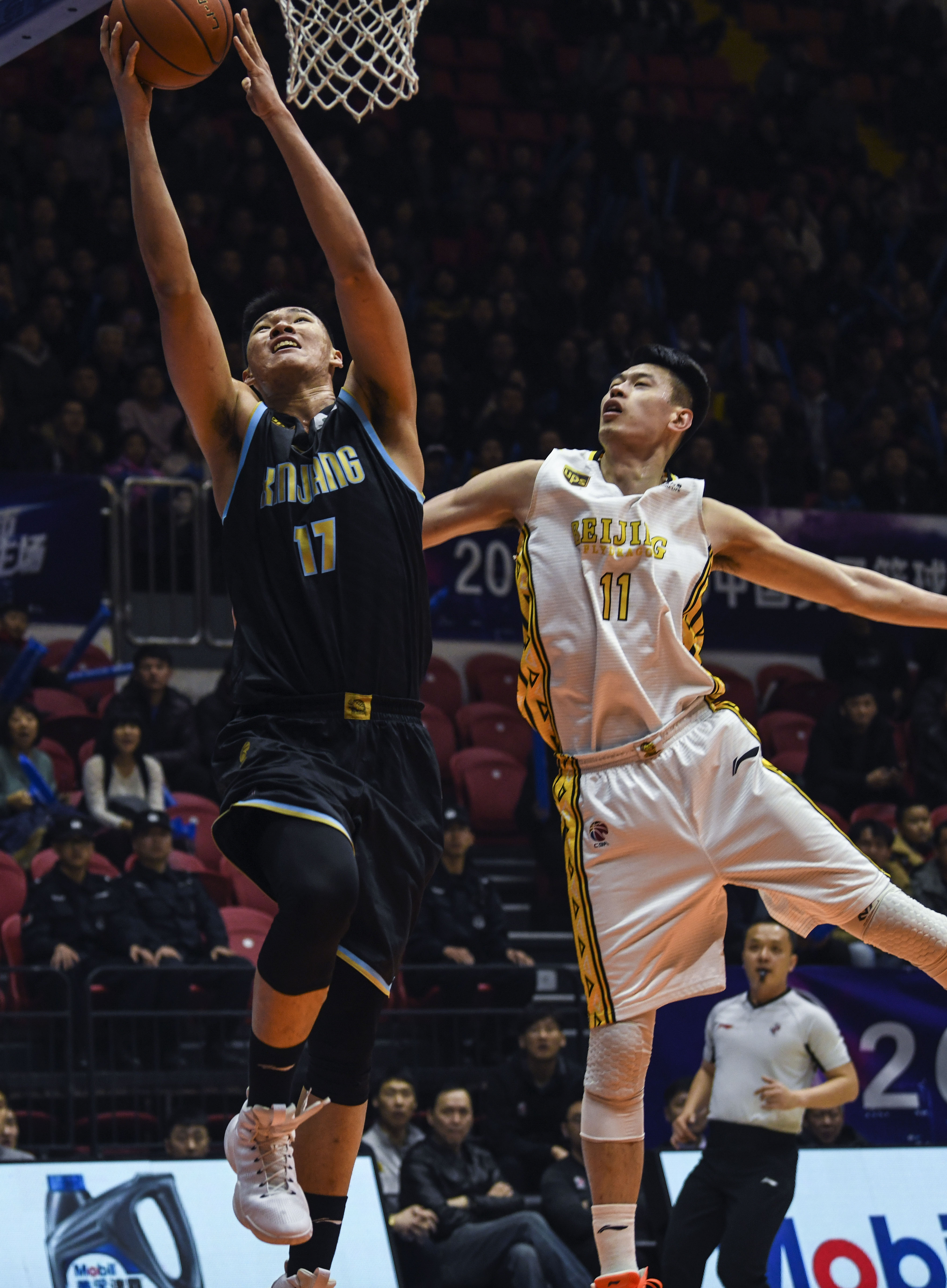 的适应性 的适应性